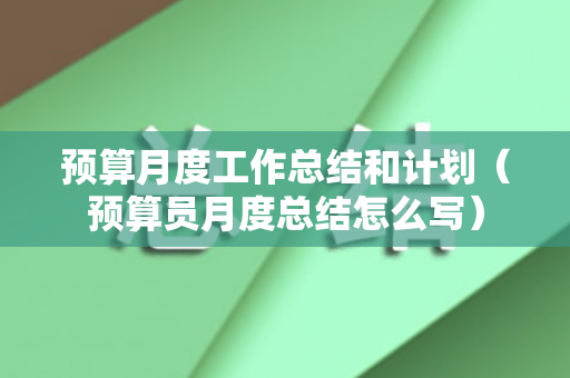 预算月度工作总结和计划（预算员月度总结怎么写）