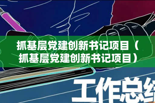 抓基层党建创新书记项目（抓基层党建创新书记项目）