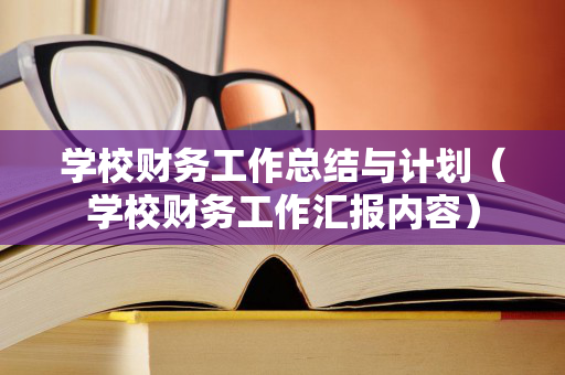 学校财务工作总结与计划（学校财务工作汇报内容）