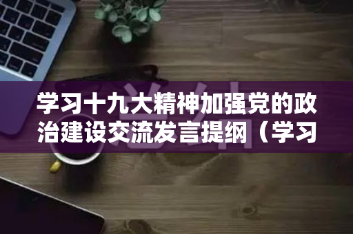 学习十九大精神加强党的政治建设交流发言提纲（学习十九大心得体会）