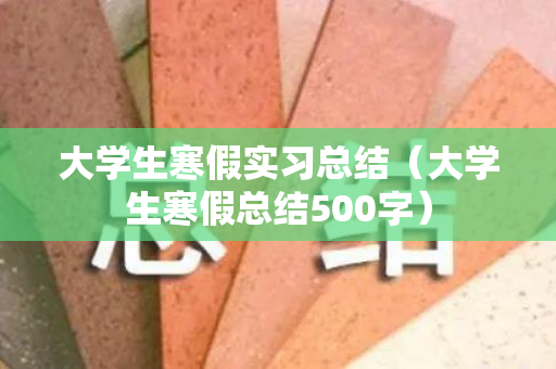 大学生寒假实习总结（大学生寒假总结500字）