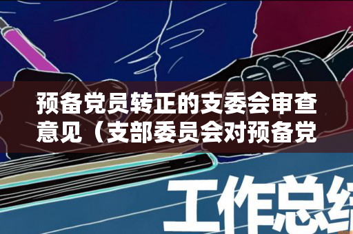 预备党员转正的支委会审查意见（支部委员会对预备党员转正的审查意见）