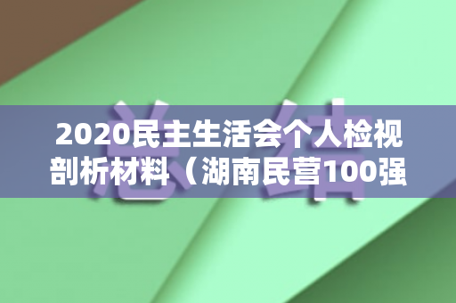 2020民主生活会个人检视剖析材料（湖南民营100强）