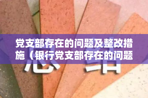 党支部存在的问题及整改措施（银行党支部存在的问题和不足之处）