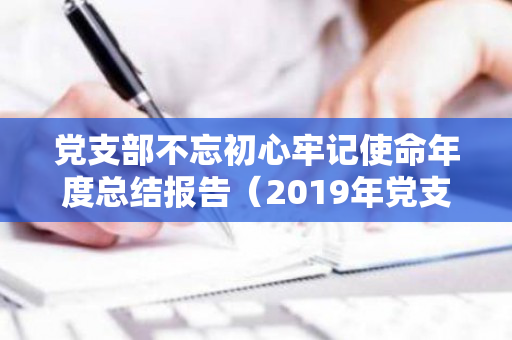 党支部不忘初心牢记使命年度总结报告（2019年党支部工作总结及2020年工作计划）