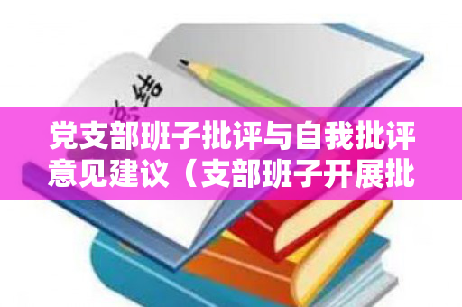 党支部班子批评与自我批评意见建议（支部班子开展批评与自我批评情况汇报）