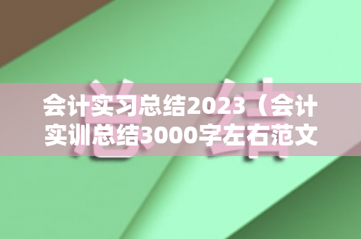 会计实习总结2023（会计实训总结3000字左右范文）