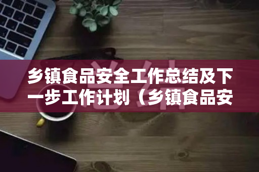 乡镇食品安全工作总结及下一步工作计划（乡镇食品安全工作报告范文）