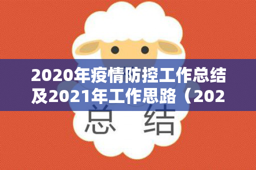 2020年疫情防控工作总结及2021年工作思路（2020年疫情死亡人数）