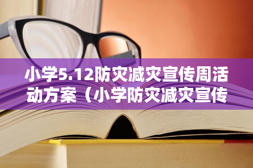 小学5.12防灾减灾宣传周活动方案（小学防灾减灾宣传周活动总结与反思）