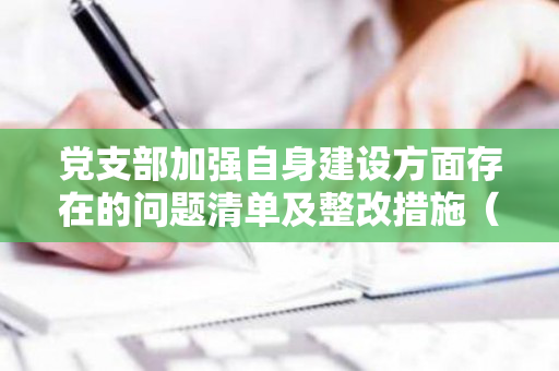 党支部加强自身建设方面存在的问题清单及整改措施（加强支部建设方面）