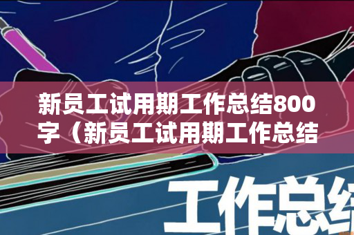 新员工试用期工作总结800字（新员工试用期工作总结200字怎么写）