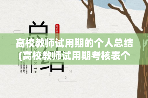 高校教师试用期的个人总结(高校教师试用期考核表个人总结)